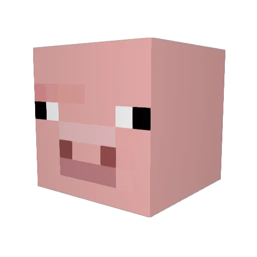 NewfieSwag Minecraft avatar head, 3D render