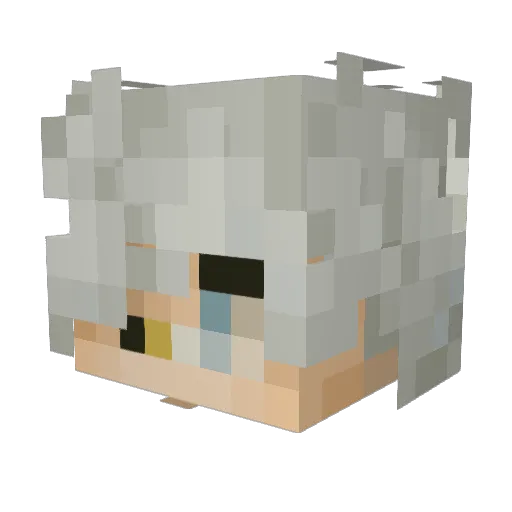 Newfiii Minecraft avatar head, 3D render