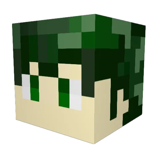 Newfreak Minecraft avatar head, 3D render