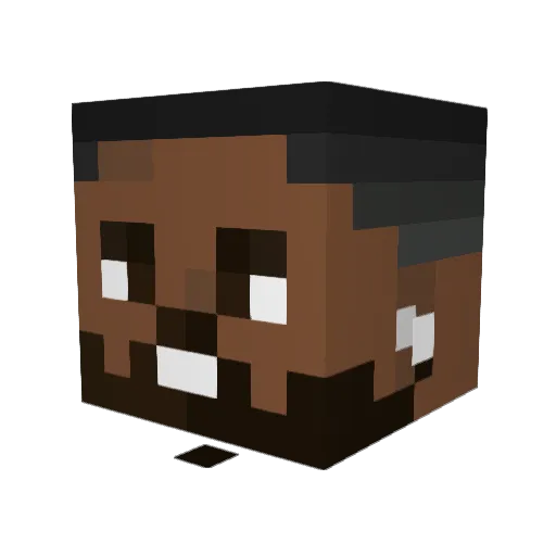 NewguyHex Minecraft avatar head, 3D render