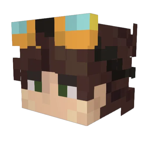 Newlight2456 Minecraft avatar head, 3D render