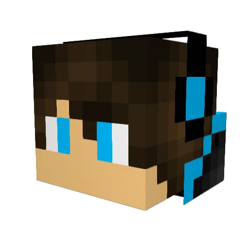 NewmanKids Minecraft avatar head, 3D render