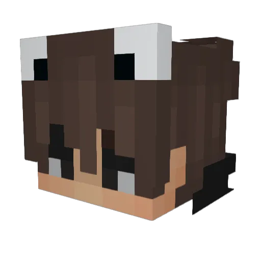 Newniek_7 Minecraft avatar head, 3D render