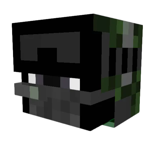 Newsonator Minecraft avatar head, 3D render