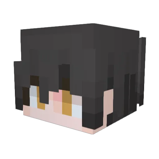 Newstar_years Minecraft avatar head, 3D render