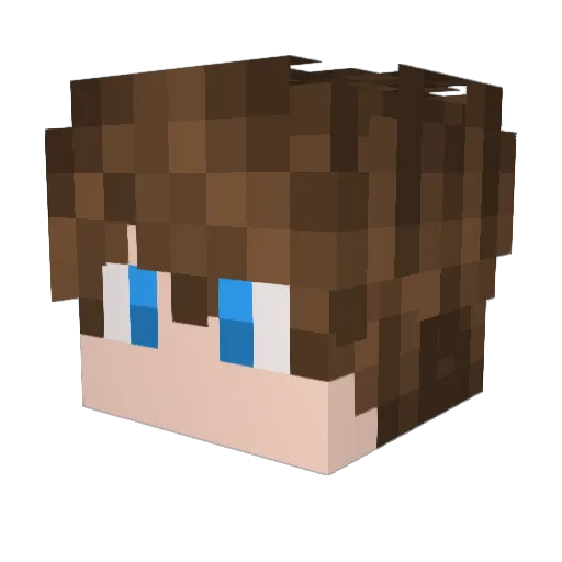 Newt505 Minecraft avatar head, 3D render
