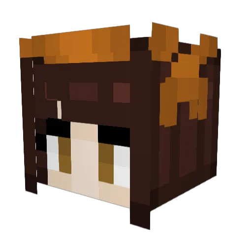 Newt645 Minecraft avatar head, 3D render