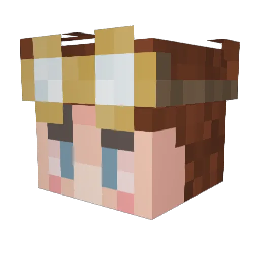 Newt_Ryder Minecraft avatar head, 3D render
