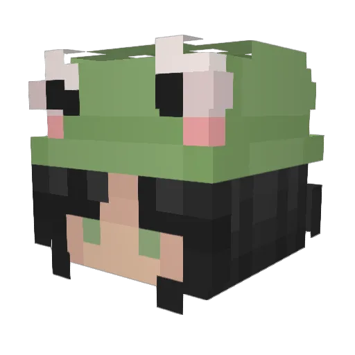 Newtbtw Minecraft avatar head, 3D render
