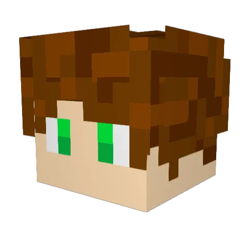 Newtking Minecraft avatar head, 3D render