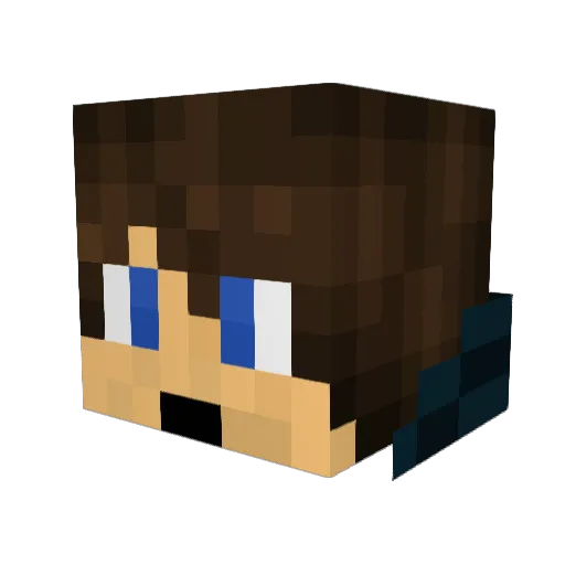 Newton5000 Minecraft avatar head, 3D render