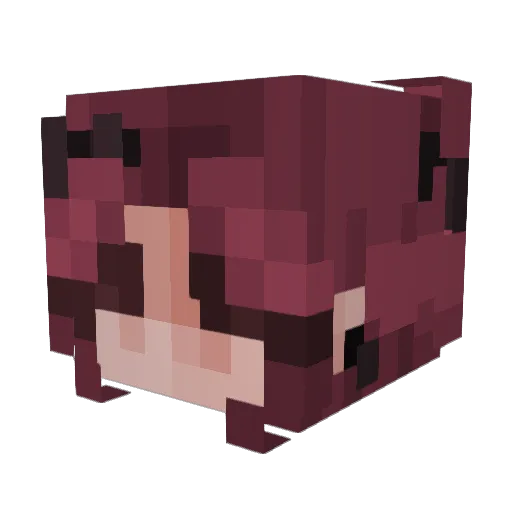 Newtt02496 Minecraft avatar head, 3D render