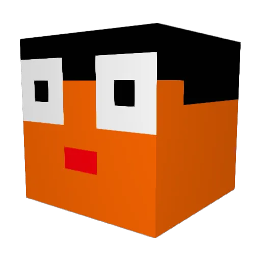 Newturtlemaster Minecraft avatar head, 3D render