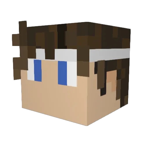 NewtypeFiend Minecraft avatar head, 3D render