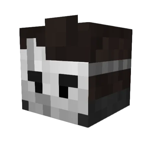 NewwJU Minecraft avatar head, 3D render