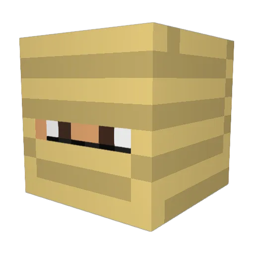 NewweN Minecraft avatar head, 3D render