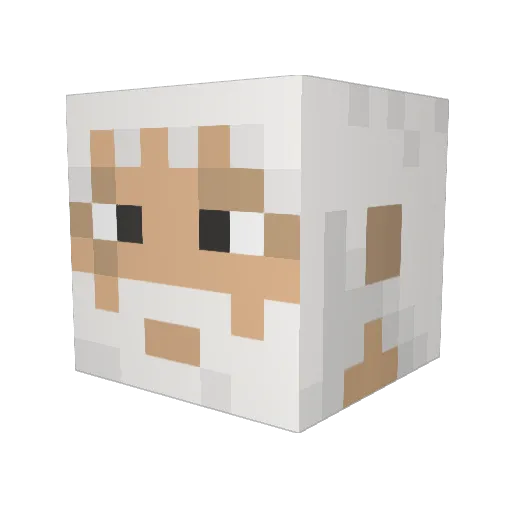 Newzar Minecraft avatar head, 3D render