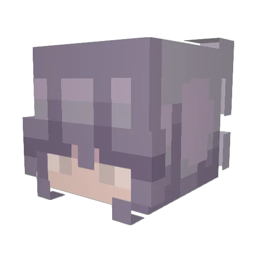 Nex2505 Minecraft avatar head, 3D render