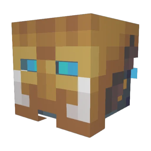 Nex406 Minecraft avatar head, 3D render