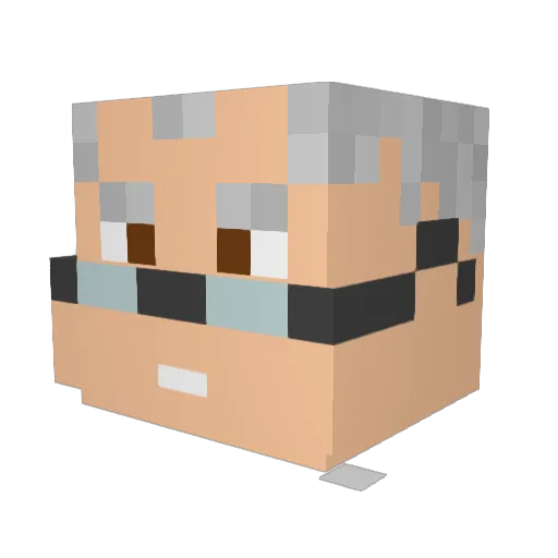 NexGen_ Minecraft avatar head, 3D render
