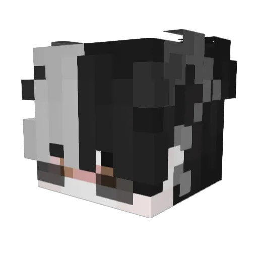 NexOHeXX Minecraft avatar head, 3D render