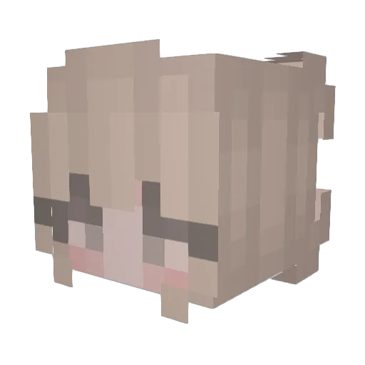 Nex_14 Minecraft avatar head, 3D render