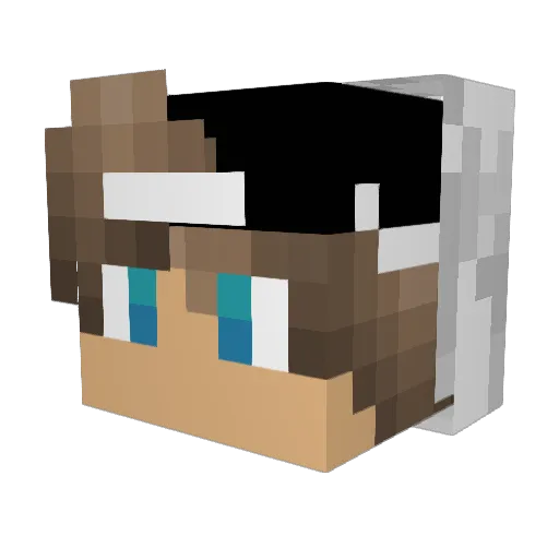 NexiuPRO Minecraft avatar head, 3D render