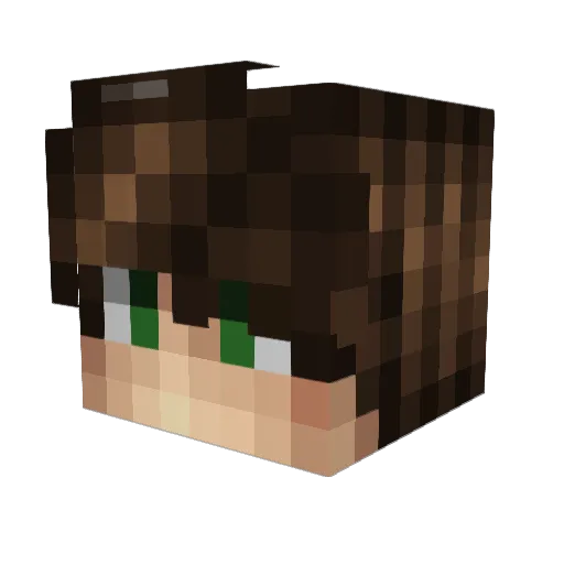 Nexonity Minecraft avatar head, 3D render