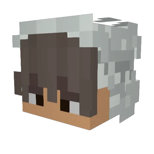 Nexoosh Minecraft avatar head, 3D render