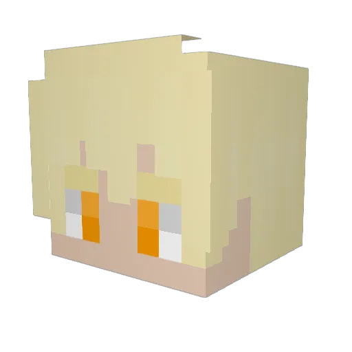 Nexor_Valentijn Minecraft avatar head, 3D render
