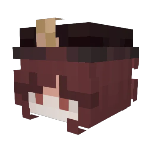NextAix Minecraft avatar head, 3D render