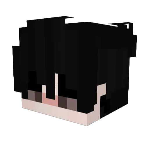NextMathy Minecraft avatar head, 3D render