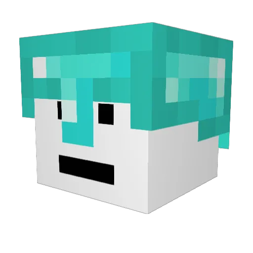Next__Level Minecraft avatar head, 3D render