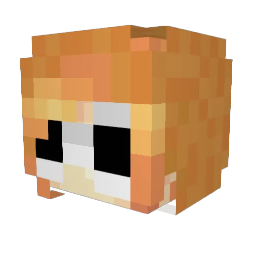 Nexteve Minecraft avatar head, 3D render