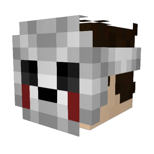 Nexus214 Minecraft avatar head, 3D render