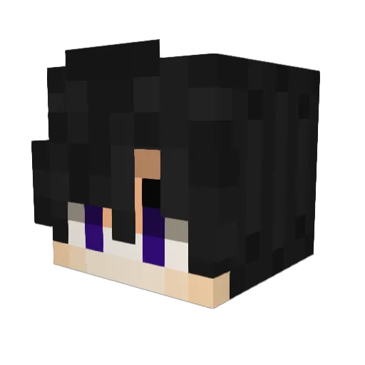 Nexus348 Minecraft avatar head, 3D render