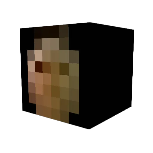 Nexus798 Minecraft avatar head, 3D render