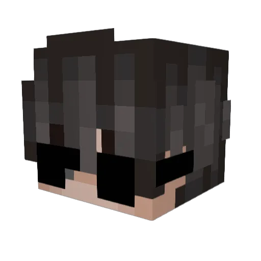 NexusKnightt Minecraft avatar head, 3D render