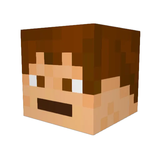 NexusPickle Minecraft avatar head, 3D render