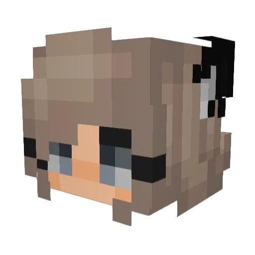 NexusSein Minecraft avatar head, 3D render