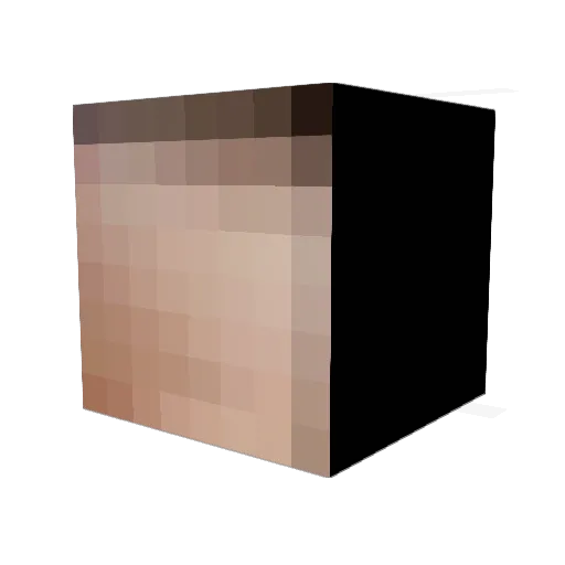 NexusVolt Minecraft avatar head, 3D render