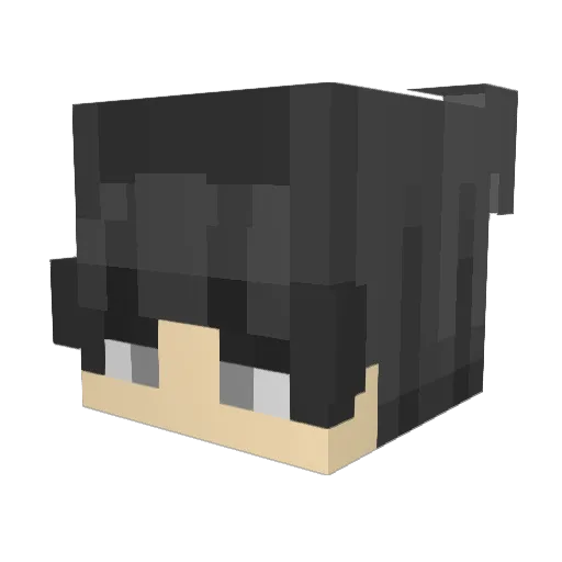 NexusXfym Minecraft avatar head, 3D render