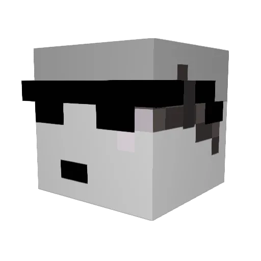 Nexus_Rizen Minecraft avatar head, 3D render