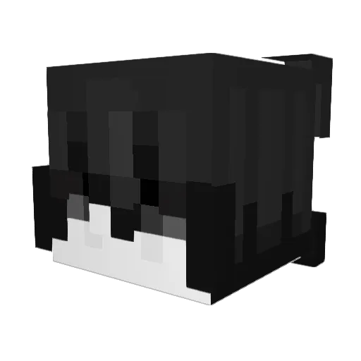 Nexuss_ Minecraft avatar head, 3D render