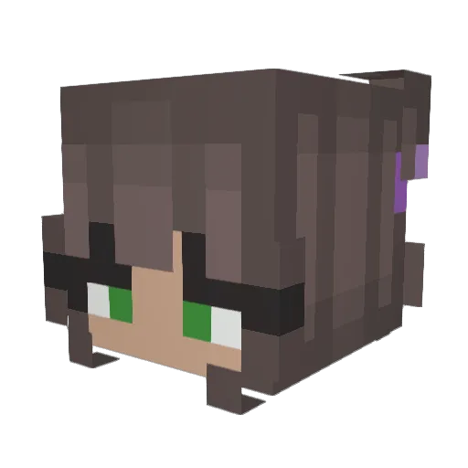 Nexy81 Minecraft avatar head, 3D render
