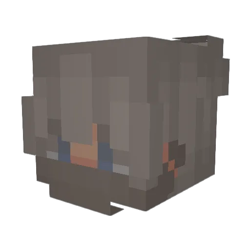 Neyght Minecraft avatar head, 3D render