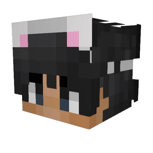 Neytron951 Minecraft avatar head, 3D render