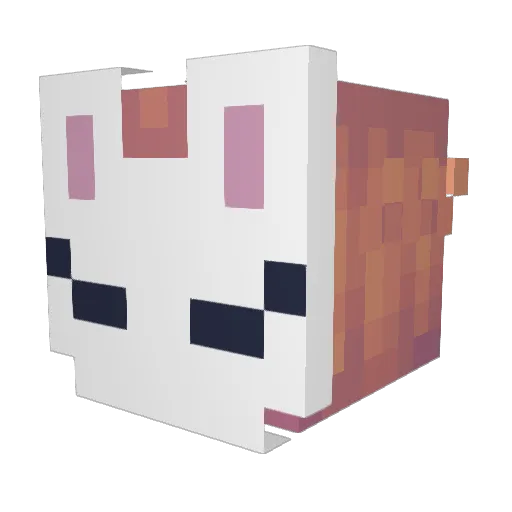 Nezalli Minecraft avatar head, 3D render