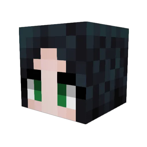 Nezo43 Minecraft avatar head, 3D render