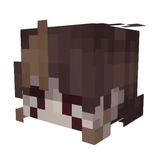 Nezu_Voorhees Minecraft avatar head, 3D render